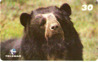 BA-759b - Grandes Animais - 08/10