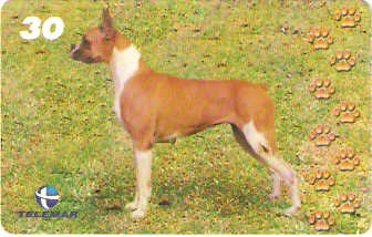 BA-766b - Cachorros - 01/10