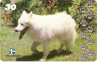 BA-767b - Cachorros - 02/10