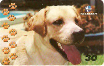 BA-768a - Cachorros - 03/10