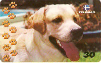 BA-768b - Cachorros - 03/10