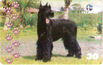 BA-773 - Cachorros - 08/10