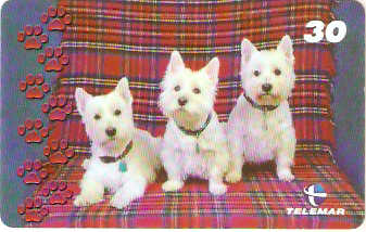 BA-774 - Cachorros - 09/10