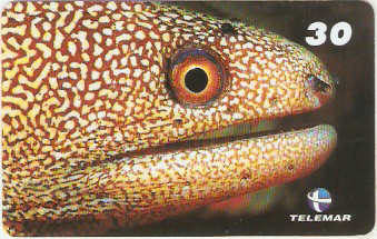 BA-803 - Peixes - 02/10