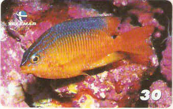BA-804 - Peixes - 03/10