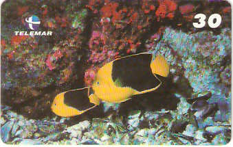 BA-805 - Peixes - 04/10