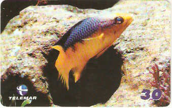 BA-809 - Peixes - 08/10
