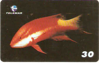 BA-810 - Peixes - 09/10