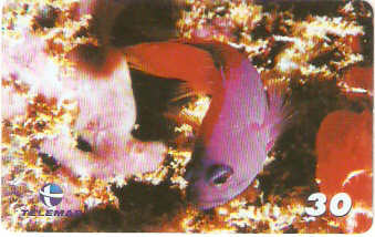 BA-811 - Peixes - 10/10