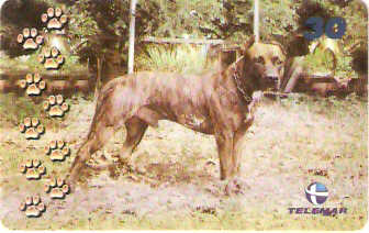 BA-885 - Cachorros - 10/10