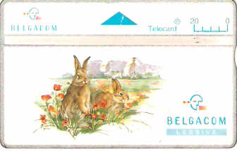BELO-082(424F) - Animais - Coelho