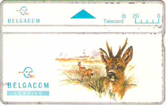 BELO-085(464A) - Animais - Viado