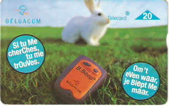 BELO-157(706F) - B. Beep - Konijn