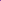 BEL-G-01 - Violeta