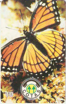 BOL-CO-020 - Borboleta Amarela