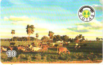 BOL-CO-048 - Fazenda Ganadera 2