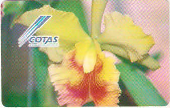 BOL-CO-071 - Orquídea Amarela
