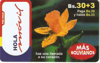 BOL-E-020 - Orquídea