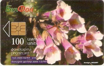 BUL-CB-015a - Haberlea