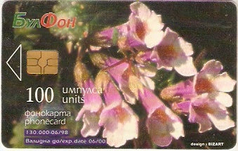 BUL-CB-015c - Haberlea