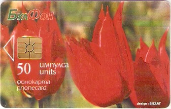 BUL-CB-014b - Tulipa
