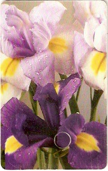 BUL-CB-308 - Flor