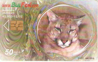 BUL-CB-216 - Leopardo