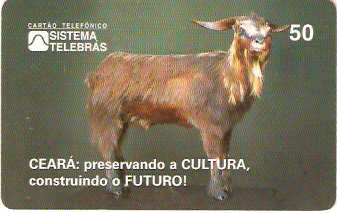 CE-109 - Um Bode Chamado Yoyo