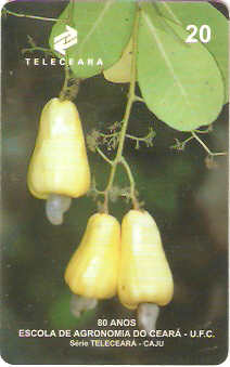 CE-135 - Embrapa 50
