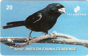 CE-155 - Curió