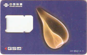 CHN-G-04 - Cockleshell - 3/4