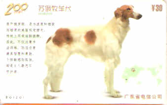 CHN-P-D0146-2 - Cachorros - 2/6