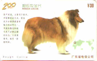 CHN-P-D0146-2 - Cachorros - 3/6