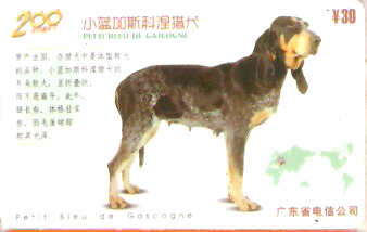 CHN-P-D0146-2 - Cachorros - 4/6