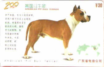 CHN-P-D0146-2 - Cachorros - 5/6