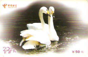 CHN-P-KM201-2004-10 - Cisnes Brancos - 2/3