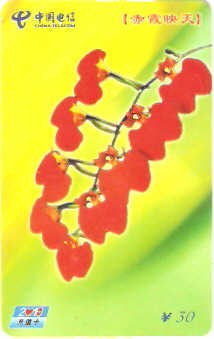 CHN-P-NP-MC-16 - Flores - 1/4