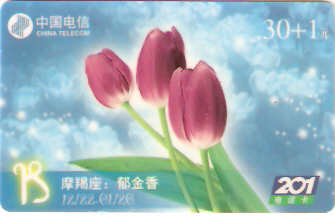 CHN-P-WDIN2001-16 - Zodíaco - 12/12