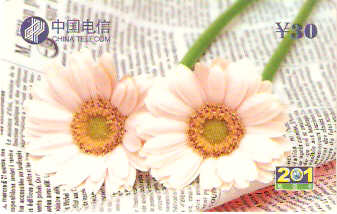 CHN-P-XAI-17 - Margaridas - 2/3