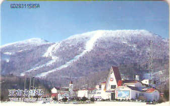 CNT-IC-48 - Montanha com Neve - 1/4