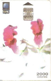 COS-032 - Orquídeas