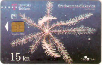 CRO-426 - Sredozemna Dlakavica