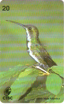 CTBC-117M - Beija-Flor