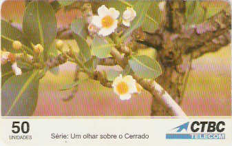 CTBC-T-0282 - As Flores - 19