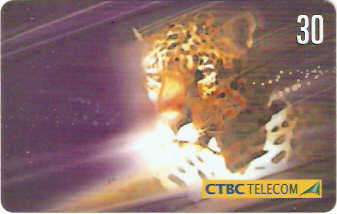 CTBC-T-0644 - Animais - 4/8