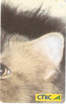 CTBC-T-1125 - Gato de Luxo - 2/4