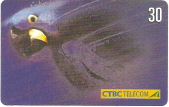 CTBC-T-0643 - Animais - 3/8