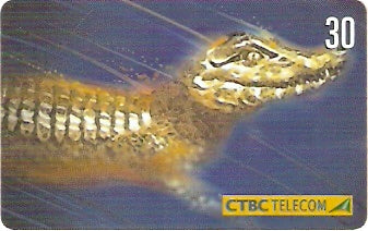 CTBC-T-0647 - Animais - 7/8