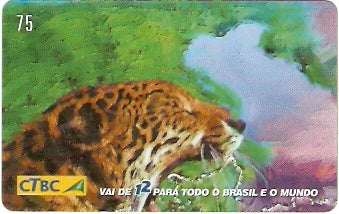 CTBC-T-0746 - Quem liga usa o 12 - 1/8