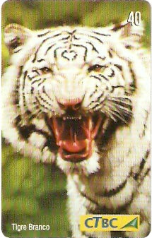 CTBC-T-0761 - Felinos - 2/5